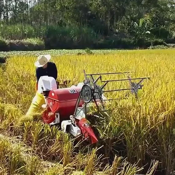 Combine Harvester Mini - Nuova macchina automatica per la raccolta