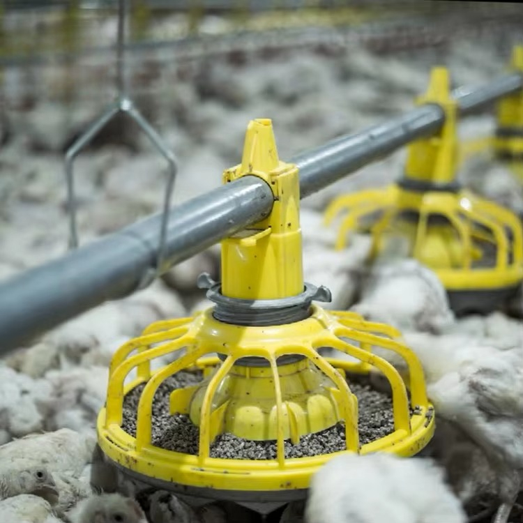 Agriculture Farming Equipments - Attrezzature agricole per polli e pollame/attrezzature