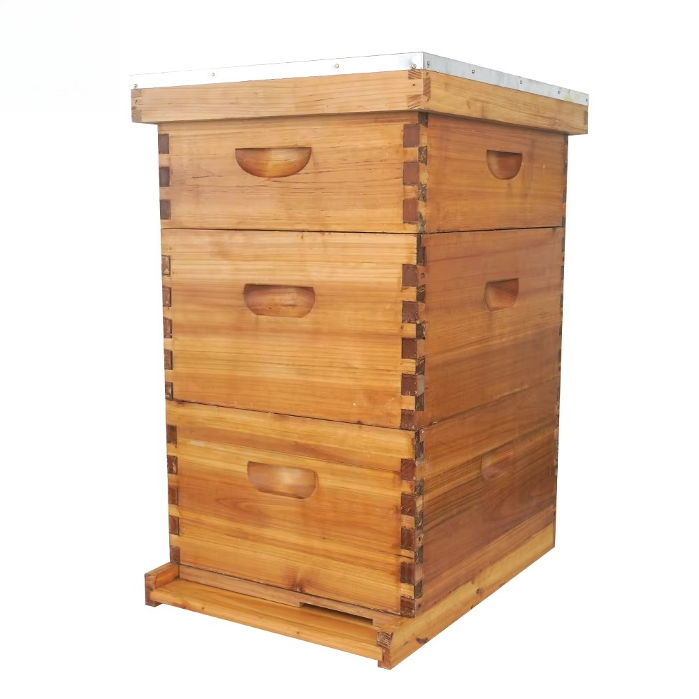 Beehive Frame Wax - Arnia Langstroth completa a 3 strati