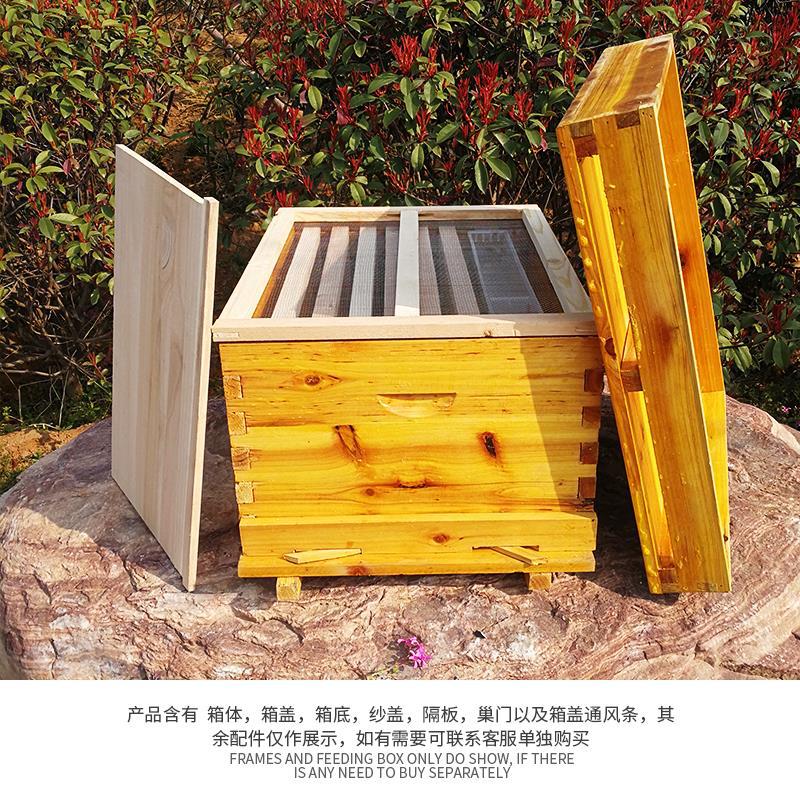 Beehive Frame Wax - Set completo di attrezzi per l'apicoltura,