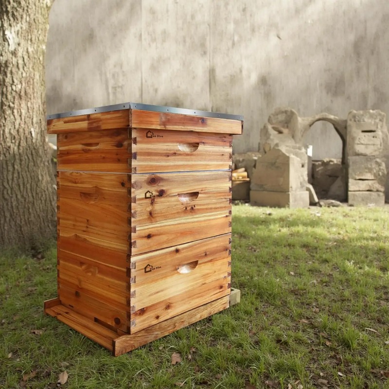 Kit Completo per Apicoltura co - Beehive Frame Wax recensione e prezzo