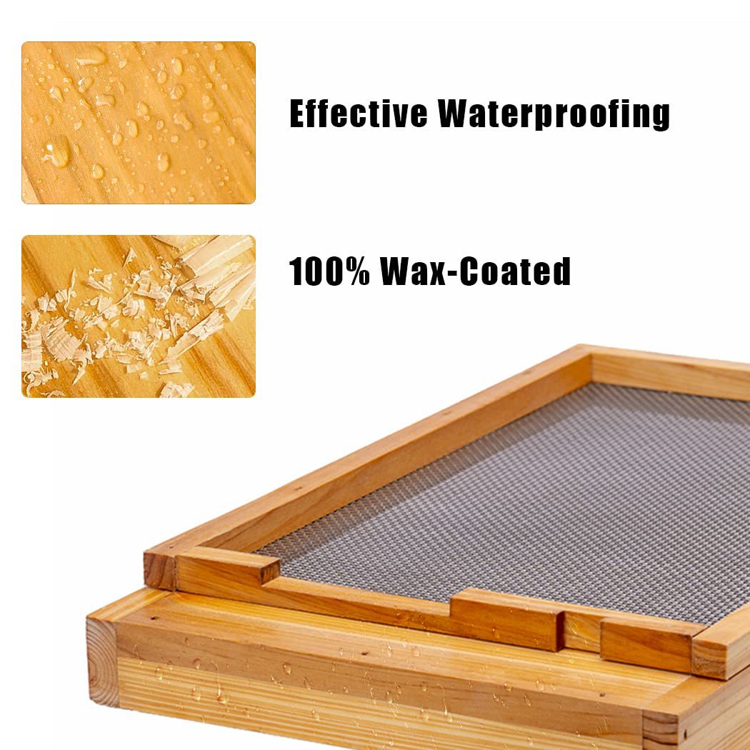 Alveare a dieci telai con fond - Beehive Frame Wax recensione e prezzo
