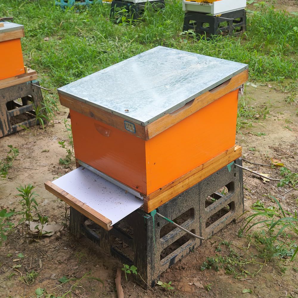 Alveare a dieci telai con fond - Beehive Frame Wax recensione e prezzo