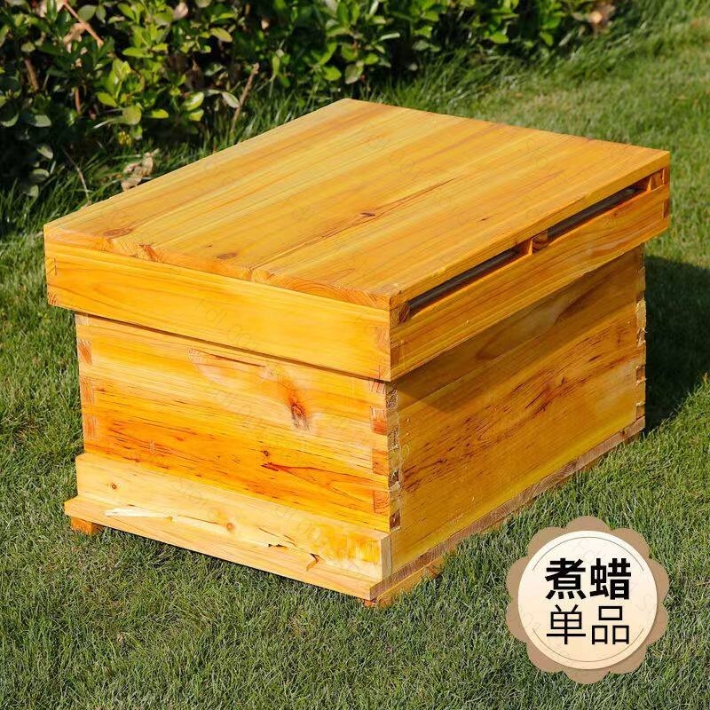 Kit Completo per Apicoltura co - Beehive Frame Wax recensione e prezzo