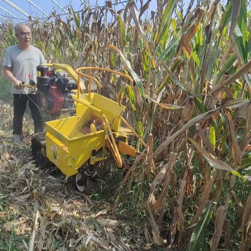Mietitrebbiatrice Economica pe - Combine Harvester Mini recensione e prezzo