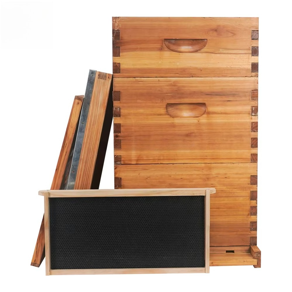 Arnia Langstroth completa a 3  - Beehive Frame Wax recensione e prezzo