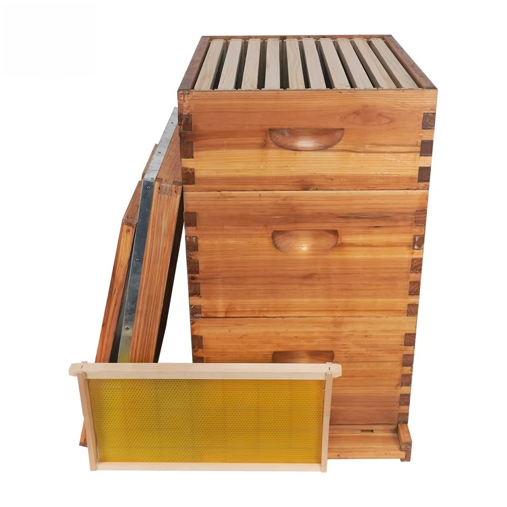 Arnia Langstroth completa a 3  - Beehive Frame Wax recensione e prezzo