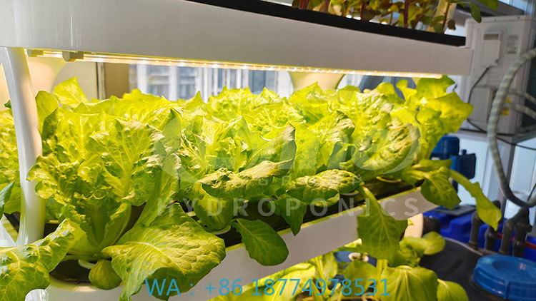 c Macchina agricola per coltiv - Agriculture Farming Equipments recensione e prezzo