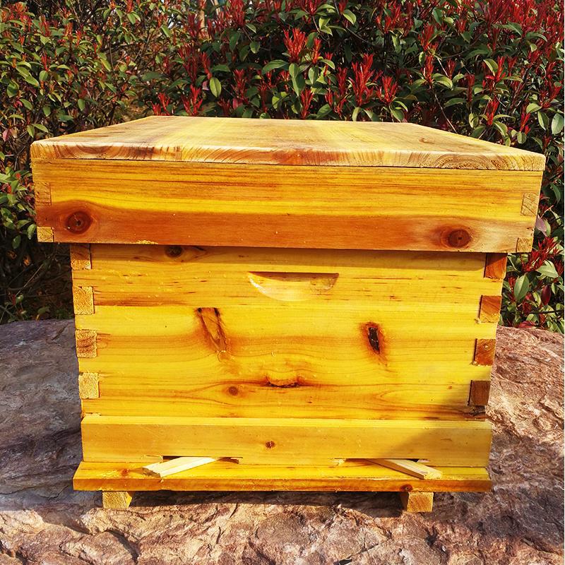 Set completo di attrezzi per l - Beehive Frame Wax recensione e prezzo