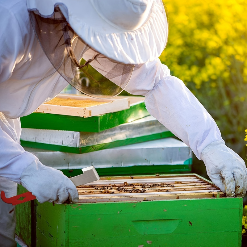 Raschietto per telai delle api - Beehive Frame Wax recensione e prezzo
