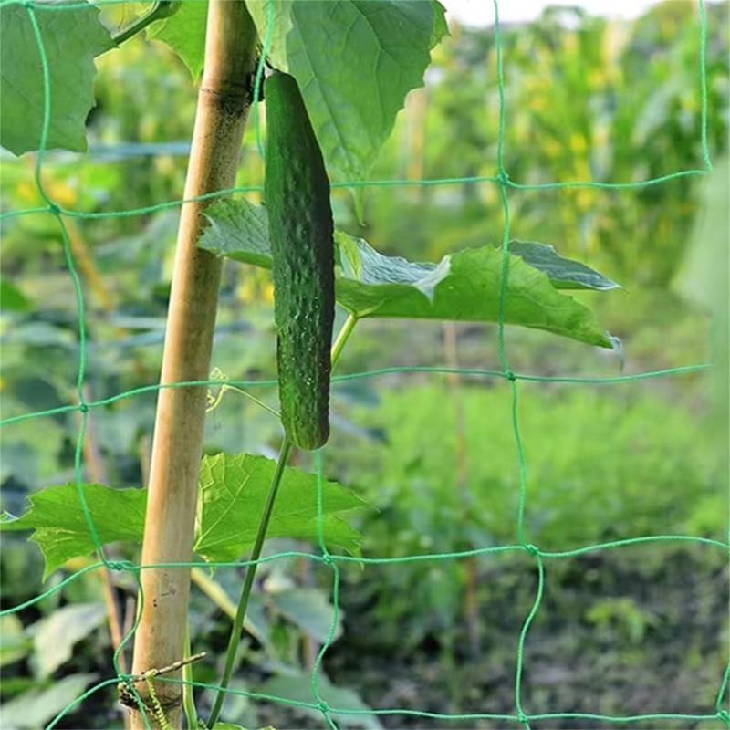 Rete per traliccio per piante  - Agriculture Farming Net recensione e prezzo