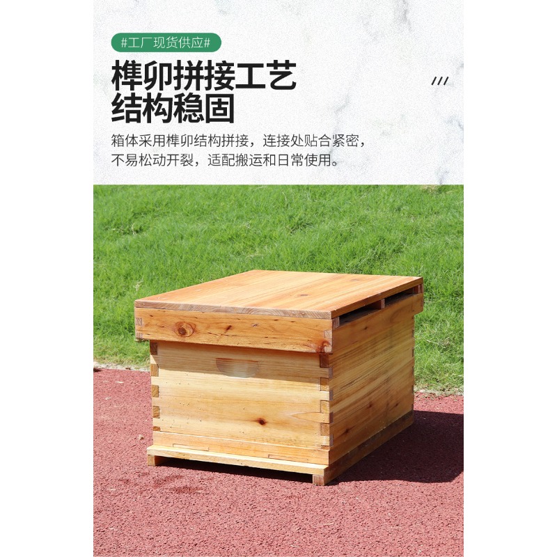Arnia per api in legno di abet - Beehive Frame Wax recensione e prezzo