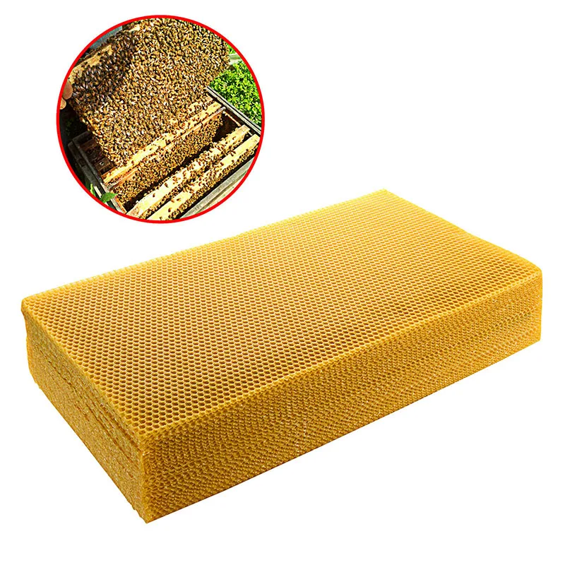 30 pz/pacco Ape Pettine Prodot - Beehive Frame Wax recensione e prezzo